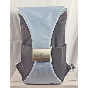 Pacsafe Travel Security Dailysafe B100 w/Exomesh, Blue & Gray w/Silver Hardware